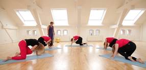 Yogakurs für Anfänger:innen – Zu sich kommen (Teil 1 von 10)