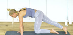 Besser Plank als Blank: Alles rund um die Planke