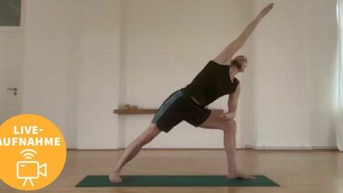 Ronald Steiner - Yogatherapie