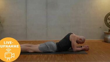 Ronald Steiner Yogatheraphie