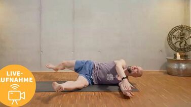Dr. Ronald Steiner Yogatherapie