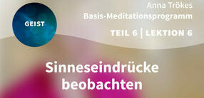 Teil 6 – Lektion 6: Sinneseindrücke beobachten