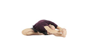 janu sirsasana (Kopf zum Knie Stellung)