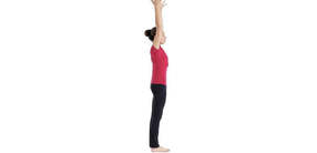 urdhva hastasana (Bergstellung mit Händen nach oben)